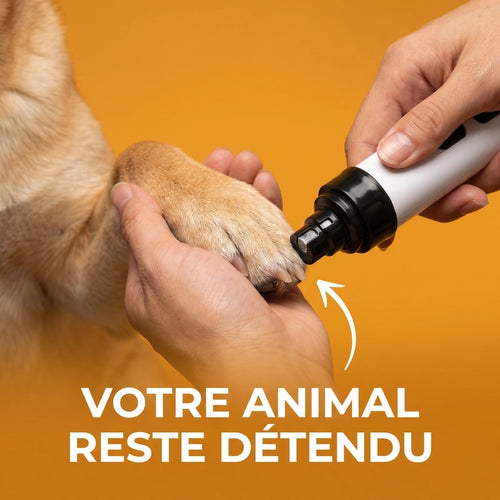 PawZéo - Lime à Ongles  Silencieuse