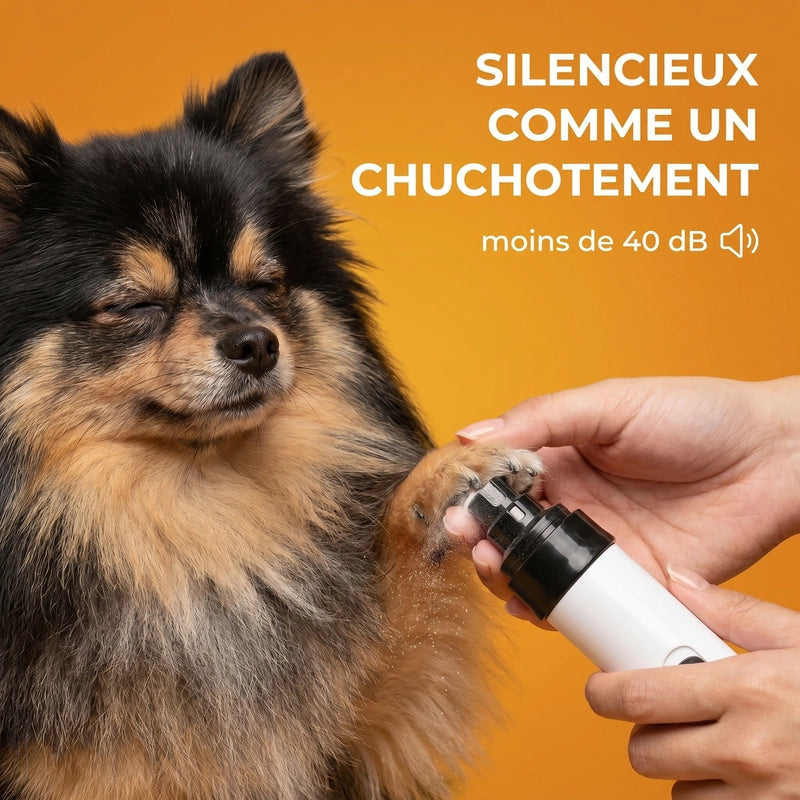 PawZéo - Lime à Ongles  Silencieuse